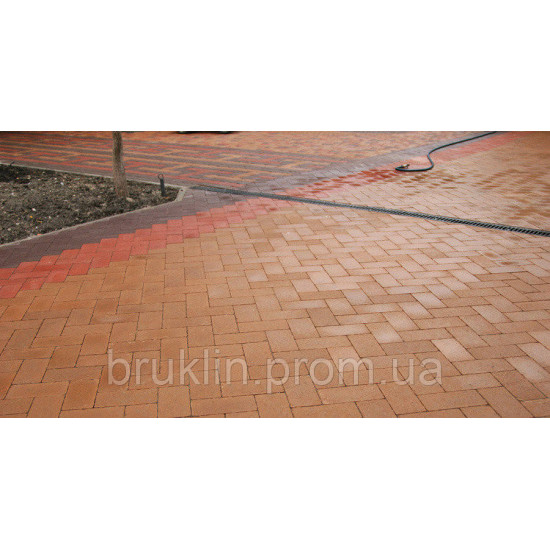 Тротуарна бруківка (плитка) 100х200, h-80мм
