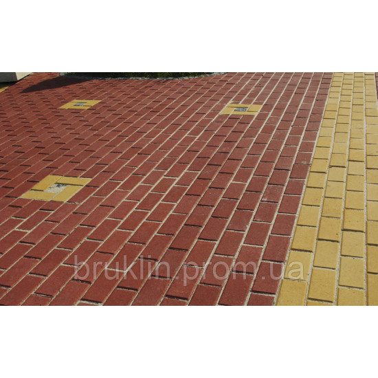 Тротуарна бруківка (плитка) 100х200, h-80мм