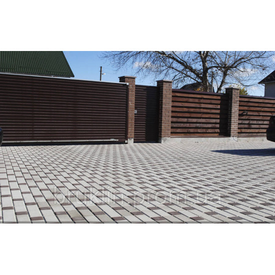 Тротуарна бруківка (плитка) 100х200, h-80мм